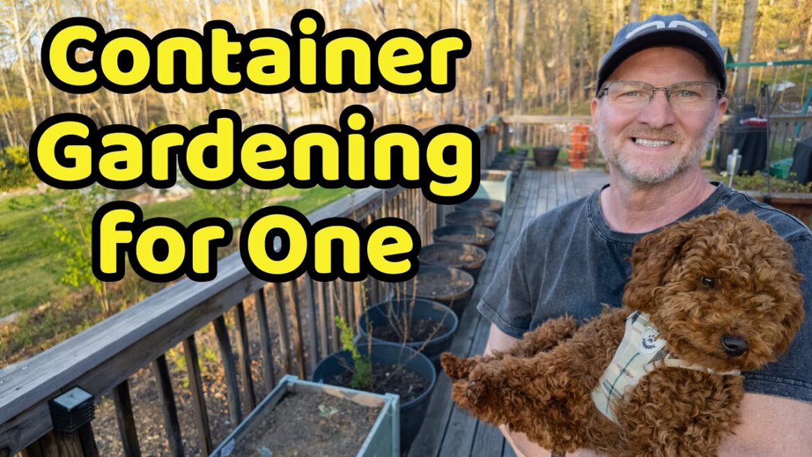 Container Gardening for One - Series Introduction