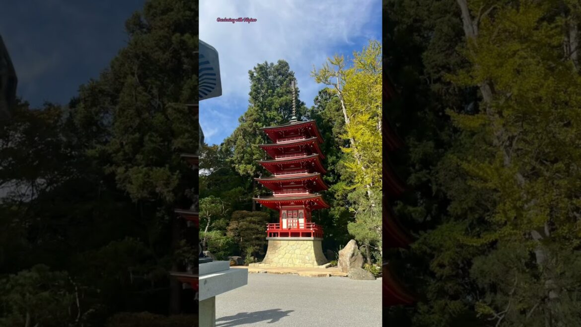 Check out this Stunning Japanese Tea Garden #sf #garden #park #gardening #bonsai #tree #plants #tree