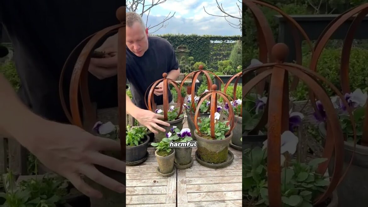 Why Do Royal Gardens Always Look Perfect?🌿 (The Secret's Wild!)