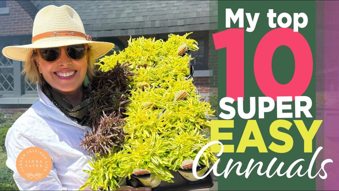 10 SUPER EASY FLOWERS For a Spectacular Garden ๐ฑ๐ 10 SUPER EASY FLOWERS For a Spectacular Garden ๐ฑ๐