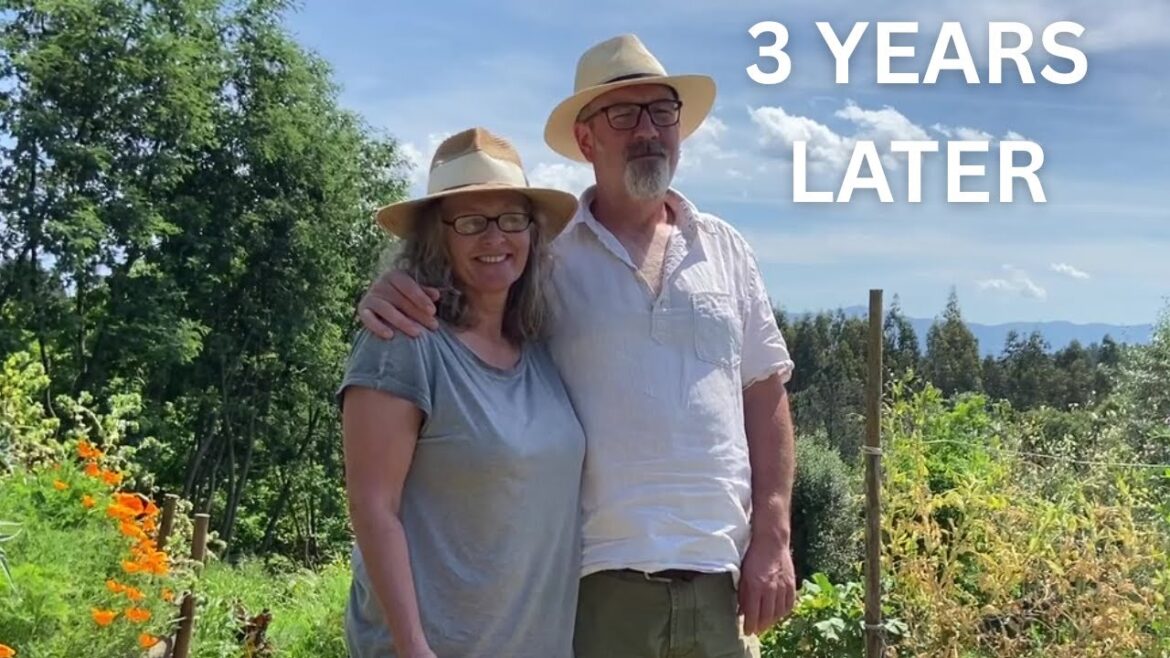 We Planted an Edible Garden TIMELAPSE