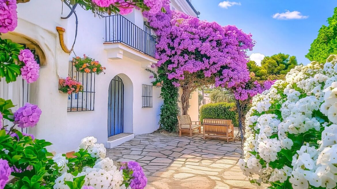 Budget-Friendly Garden Idea 🌱 The Most Diverse and Vibrant Garden Design for a Greener Living Space Budget-Friendly Garden Idea 🌱 The Most Diverse and Vibrant Garden Design for a Greener Living Space