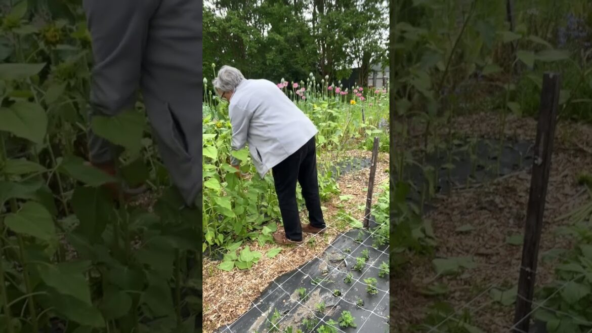 Storewide SALE!! Deepest discounts of the year! Comment SHOP and I’ll DM the link Storewide SALE!! Deepest discounts of the year! Comment SHOP and I’ll DM the link