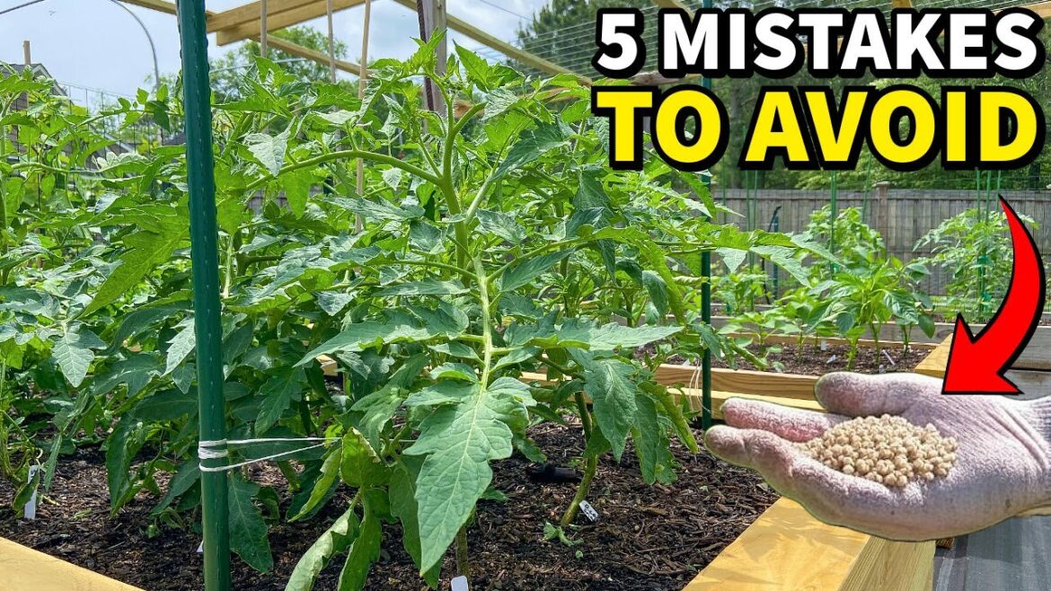 5 Mistakes You Must NEVER Make Fertilizing Your Garden 5 Mistakes You Must NEVER Make Fertilizing Your Garden