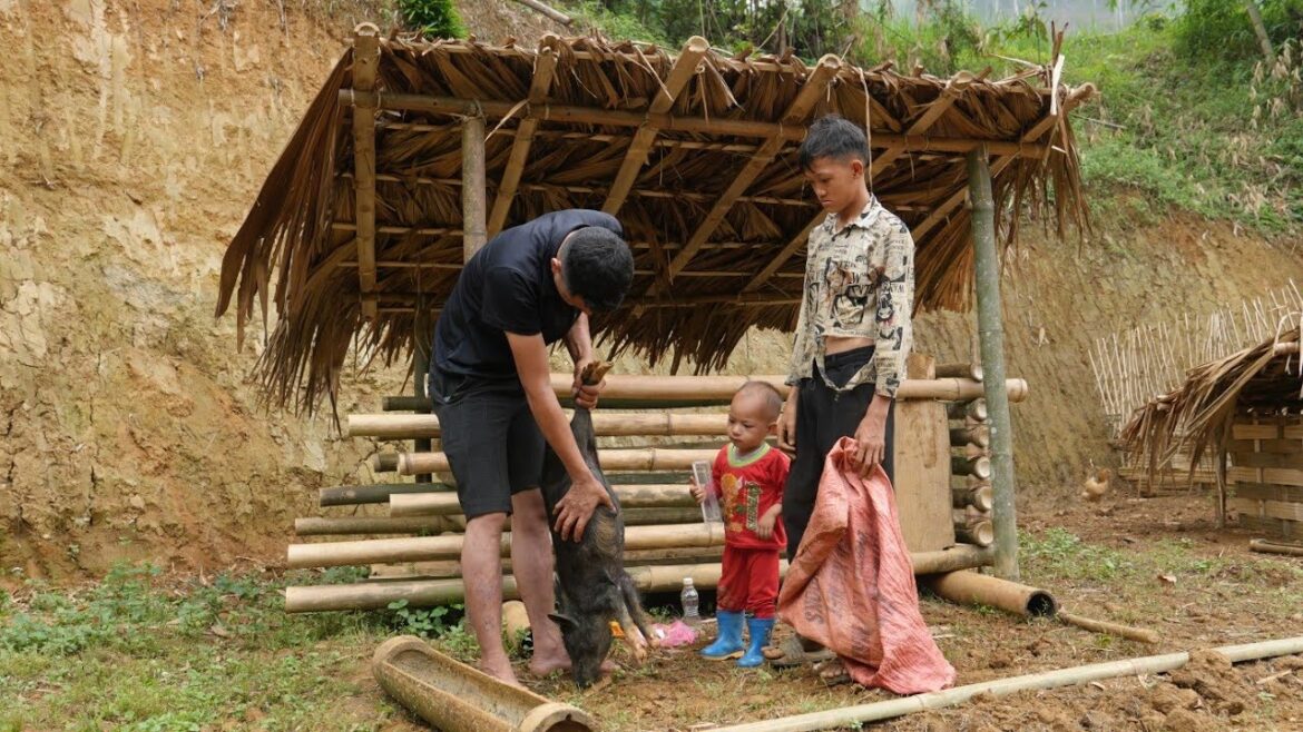 Kind Man Helps Homeless Orphan Boy Castrate a Pig - vegetable gardening, harvest vegetables to sell