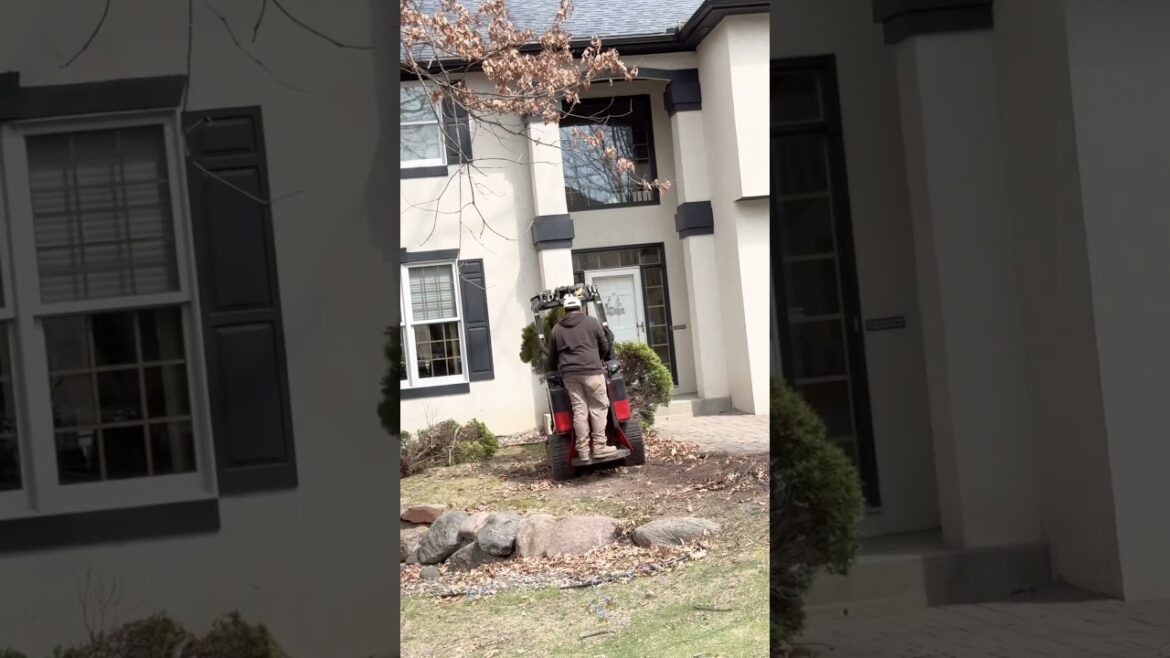 Front Yard Landscaping | Shrub Removal with Dingo TX-1000.       #hardscapedesign #landscaping