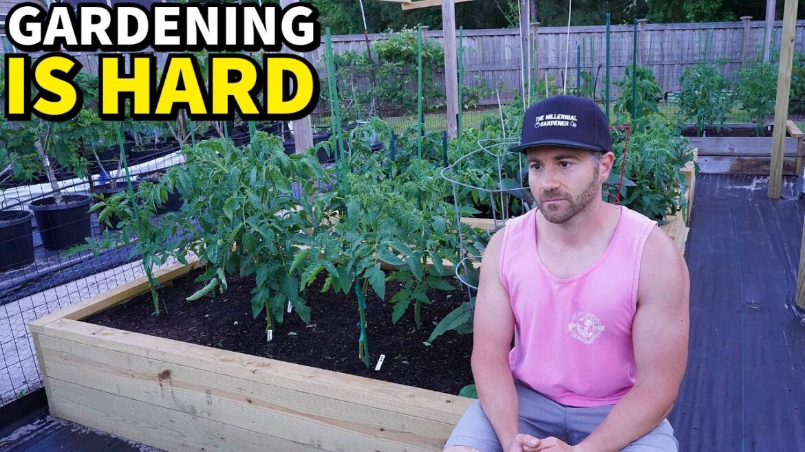 I Failed My Garden. I Failed My Garden.