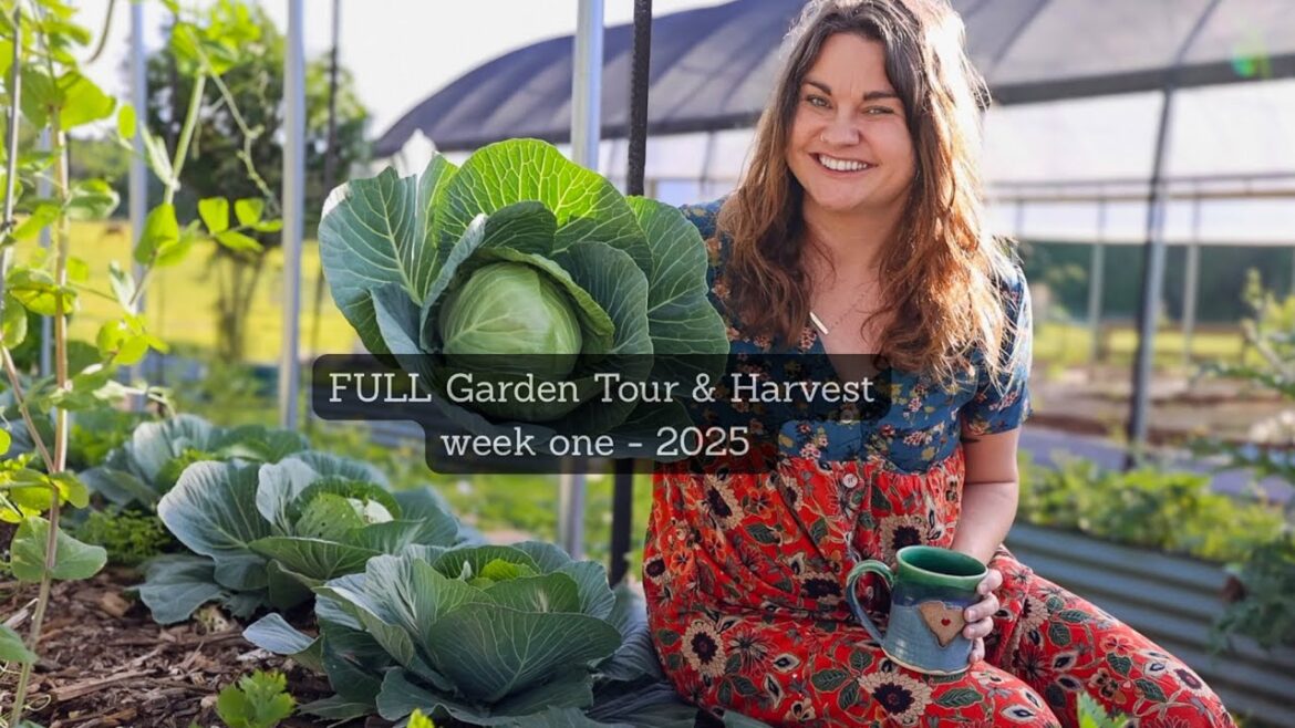Roots and Refuge Farm: Full Garden Tour & Harvest | Week One – 2025 Full Garden Tour & Harvest | Week One - 2025