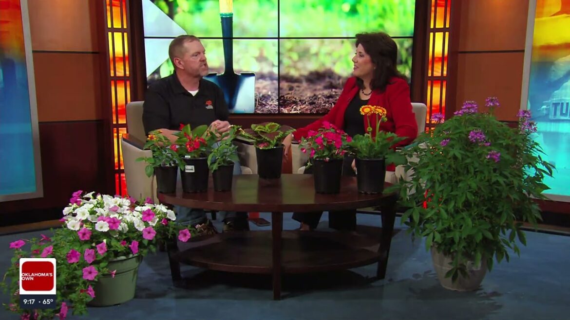 Spring Gardening Tips: What to plant and how to prepare your garden in Oklahoma Spring Gardening Tips: What to plant and how to prepare your garden in Oklahoma