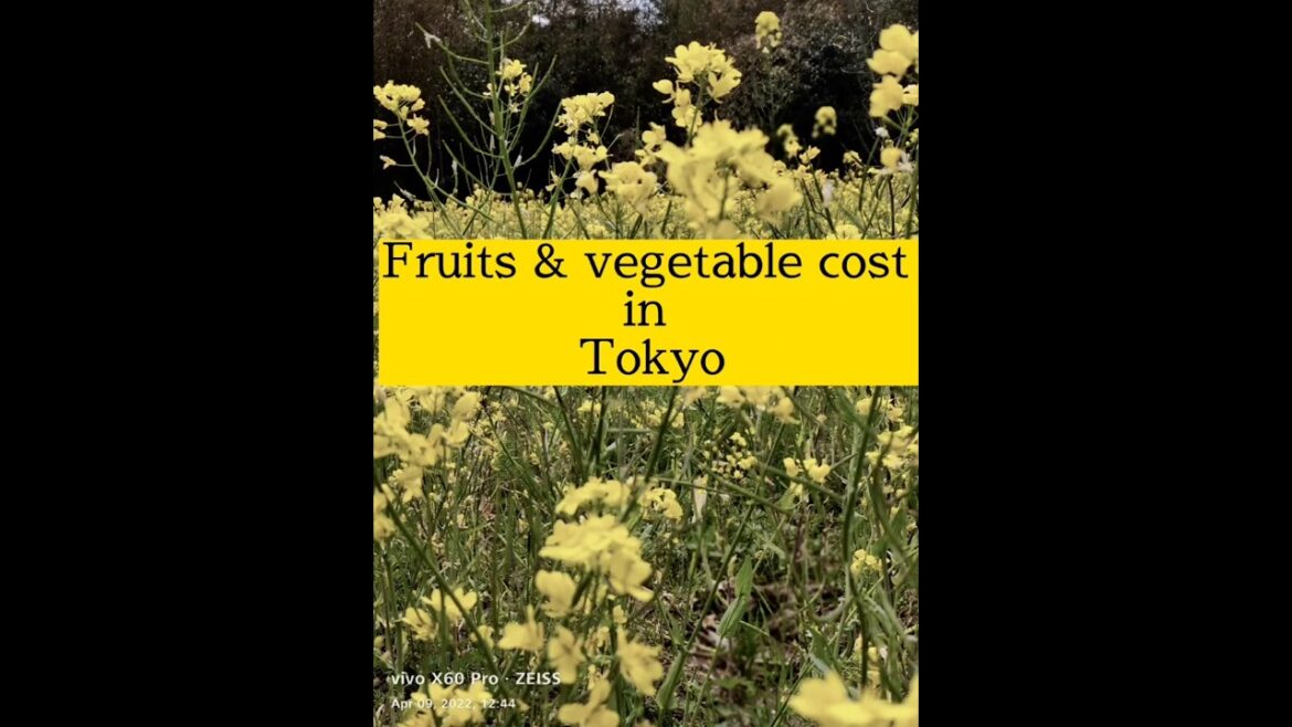 Is Japan really as expensive as they say? Here’s what basic groceries cost in INR! #tamilshorts