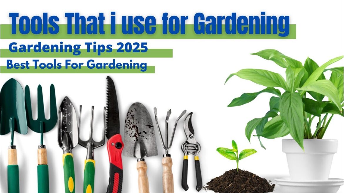 Basic gardening tools✂️/ Beginners must have gardening tools/ Gardening With Iqra Fatima