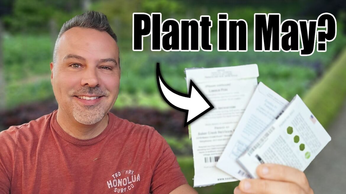 What Vegetables to Plant in MAY 2025