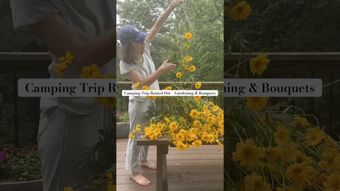 weekend plans changed #atlanta #gardening #weather #camping #flowers #rain #spring #inspiration