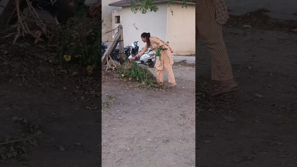 कचरे से ढूंढ निकाला खजाना। #gardendesign #terrace #garden #terracegarden #plants