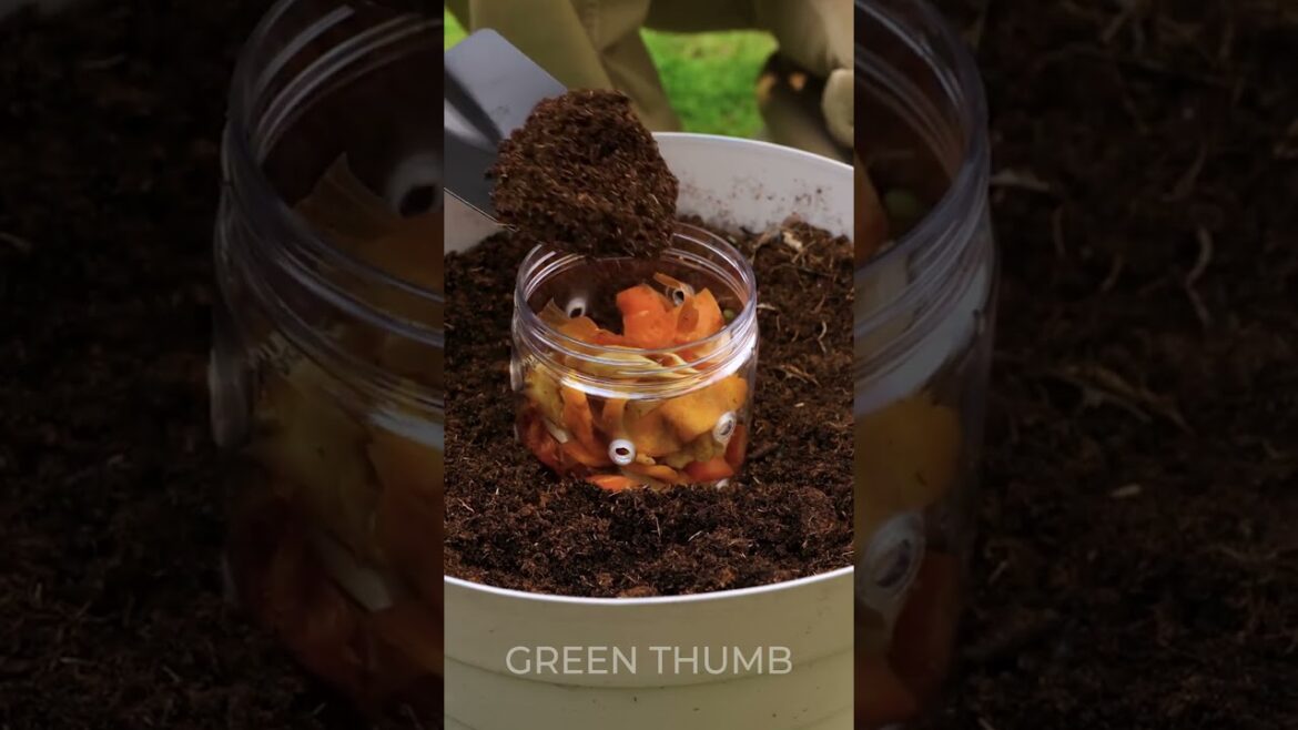 From Kitchen to Garden: Food Leftovers for Organic Planting From Kitchen to Garden: Food Leftovers for Organic Planting