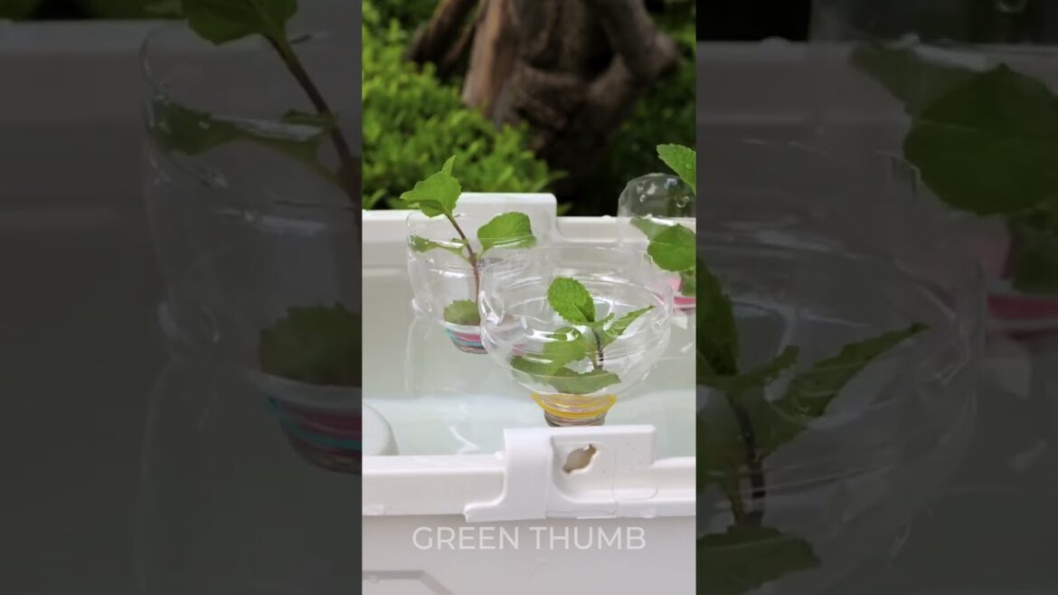 The Science of Plant Propagation: Secrets to Growing More Plants The Science of Plant Propagation: Secrets to Growing More Plants