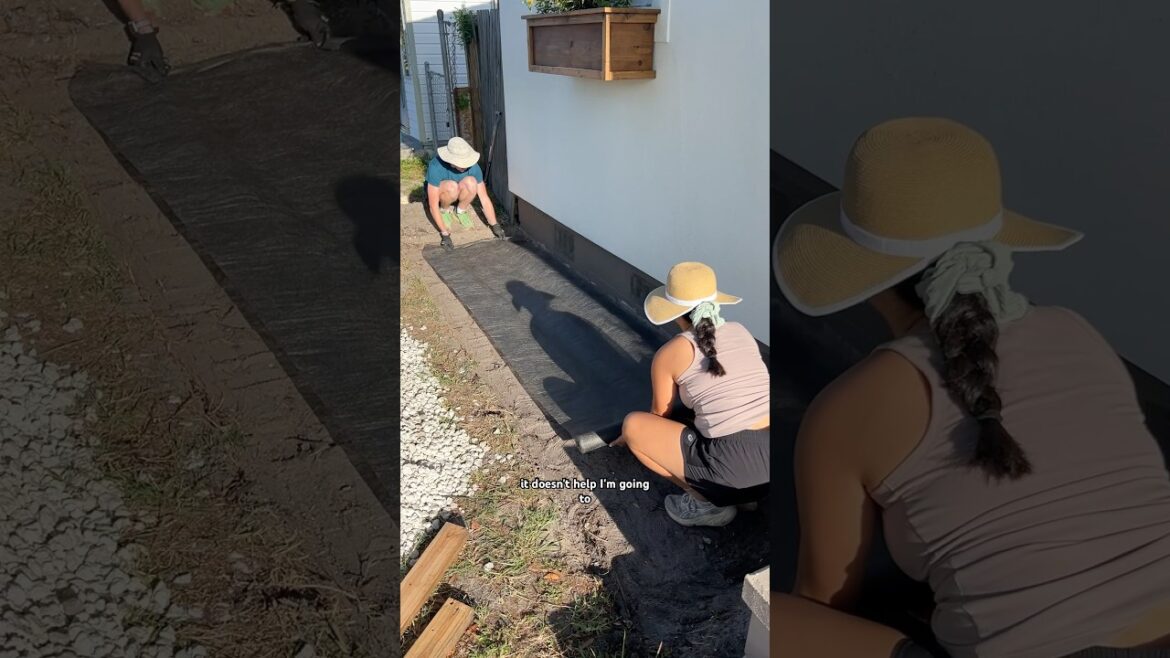 installing landscape fabric and rocks to prevent weeds and pests permanently