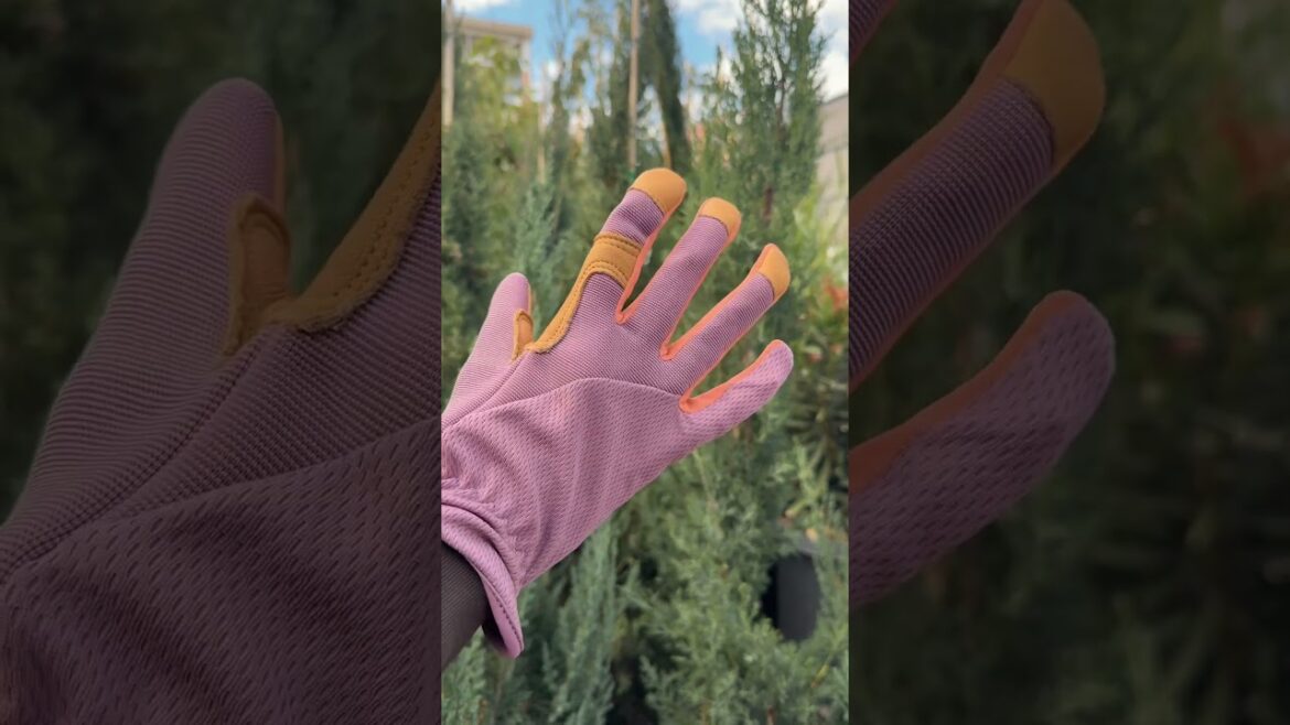 Green Thumb Garden Supply Video Short