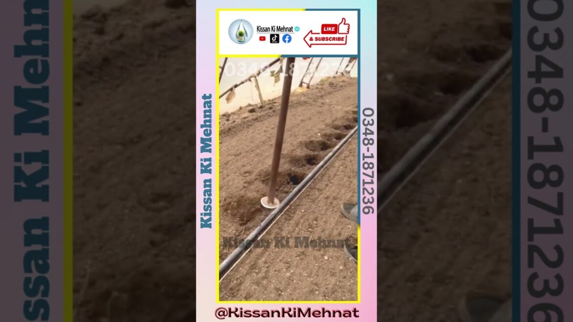 Agriculture Tool | Garden Tool | The  Right Tools Just Make Farm Work Much Easier | Farming Idea