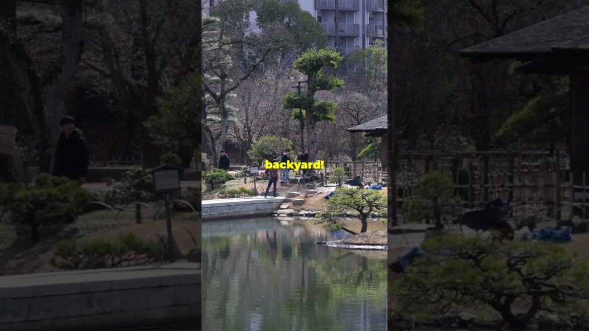 Inside Birmingham’s Japanese Garden Wonderland You Never Knew Existed! Inside Birmingham's Japanese Garden Wonderland You Never Knew Existed!