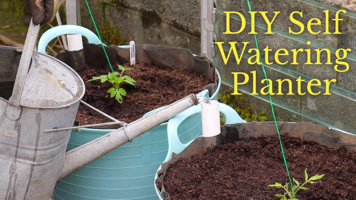 DIY Self Watering Planter for Container Vegetable Gardens (Wicking Pot) DIY Self Watering Planter for Container Vegetable Gardens (Wicking Pot)