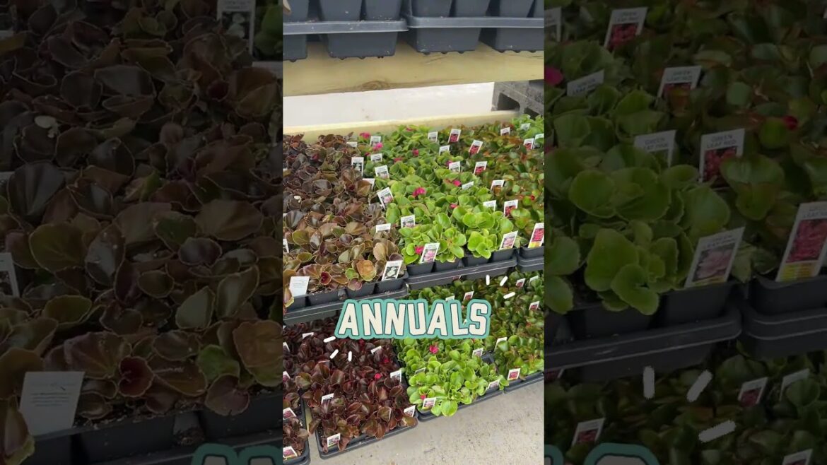 Farm & Home Supply Garden Centers