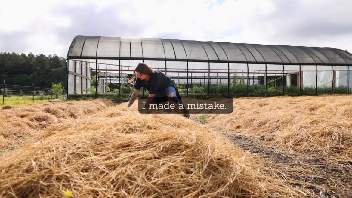 Roots and Refuge Farm: Scrounging for seeds (I made a mistake) | VLOG Scrounging for seeds (I made a mistake) | VLOG