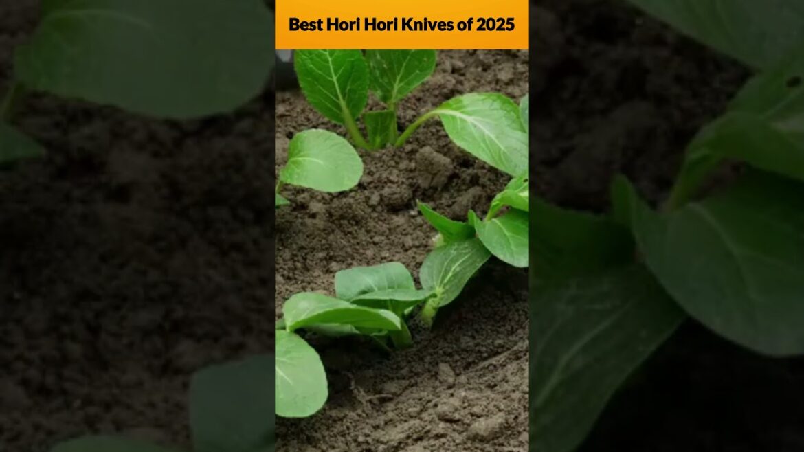 Best Hori Hori Knives of 2025 # Hori Hori knife #best Hori Hori knife #top gardening knives 2025 Best Hori Hori Knives of 2025 # Hori Hori knife #best Hori Hori knife #top gardening knives 2025