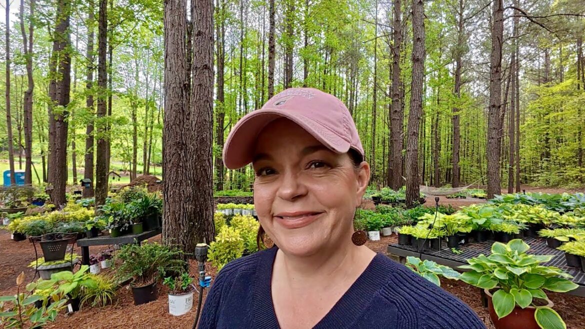 Garden Construction, Gorgeous Plants, & Green Stalk Winner