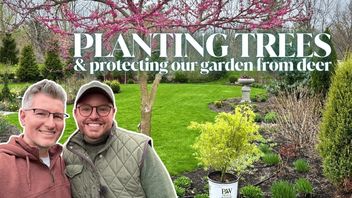 Planting Stunning New Trees 🌳 Protecting the Garden from Deer + Spring Transplants!
