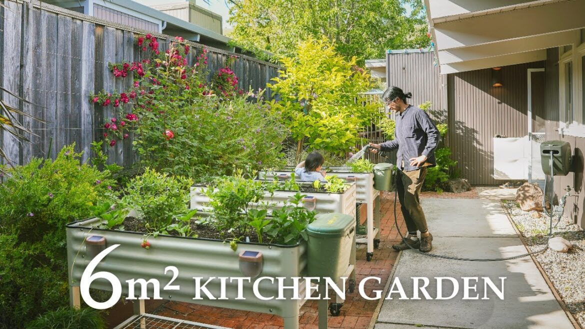 Our 60 sqft Edible Garden Transformation | from Building to Planting Our 60 sqft Edible Garden Transformation | from Building to Planting