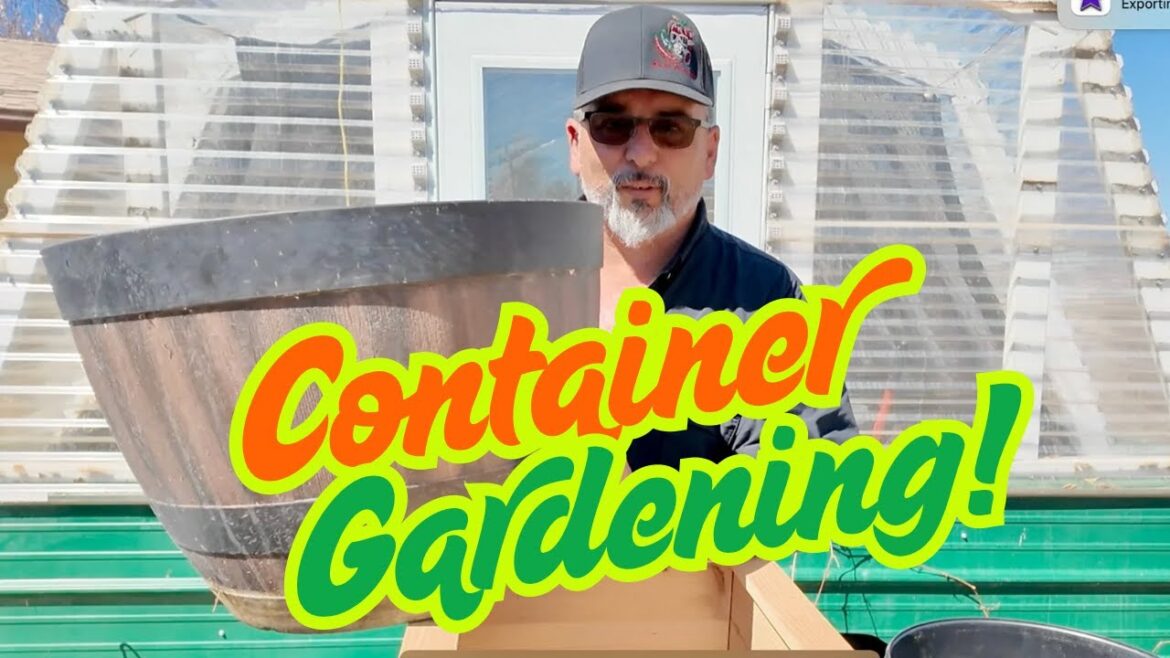 Container Gardening Secrets! Find your perfect size!🌱🪴🫛🪻🫚