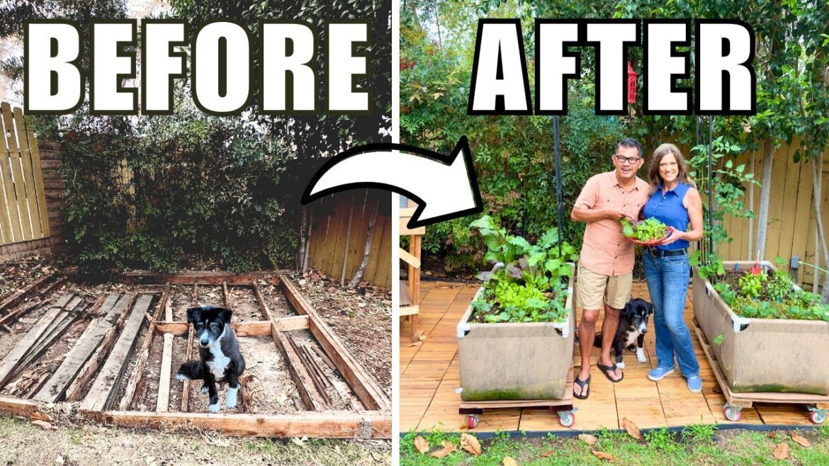 From Dead to Thriving Edible Garden—No Construction