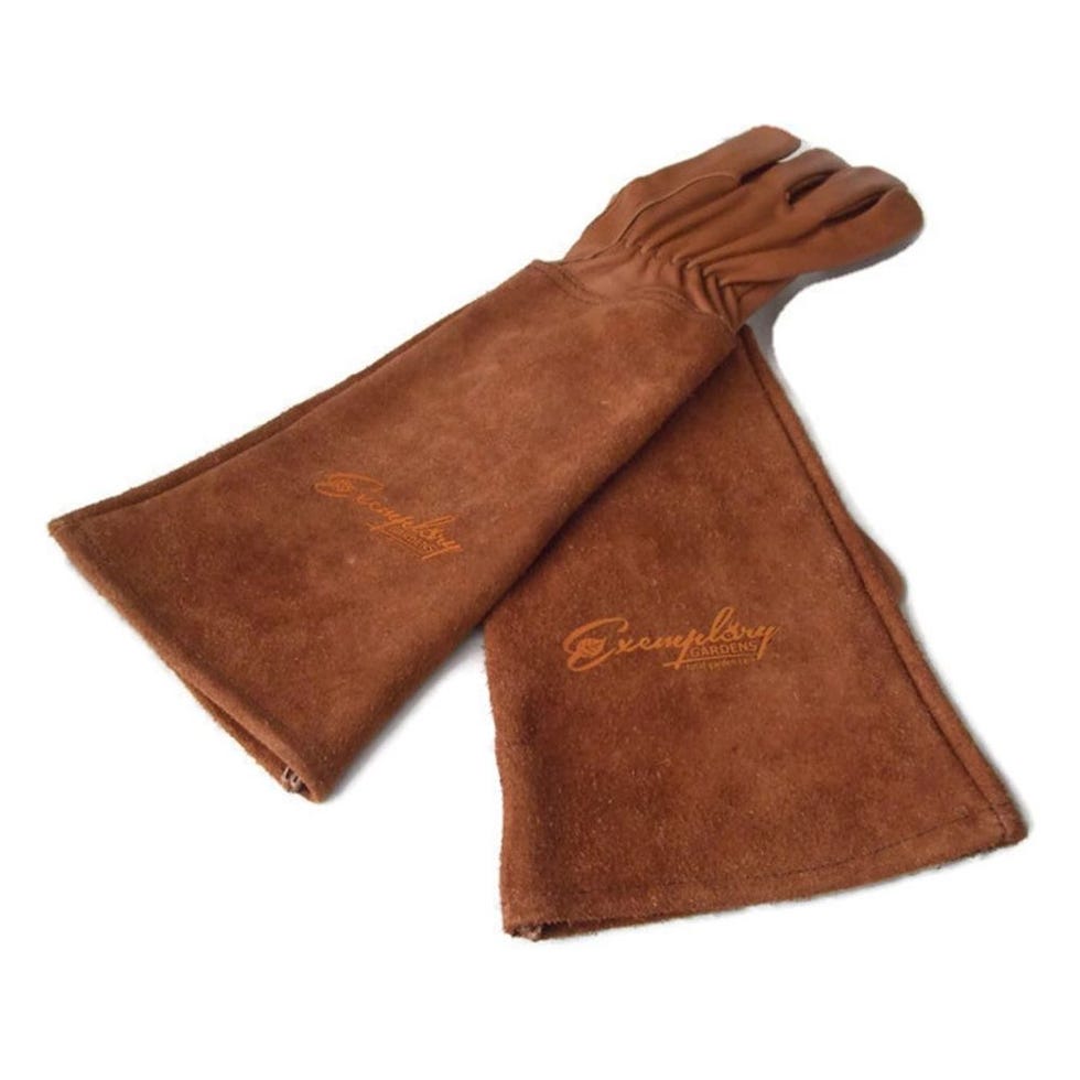 Rose Pruning Gloves