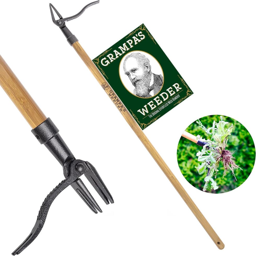 The Original Stand Up Weed Puller