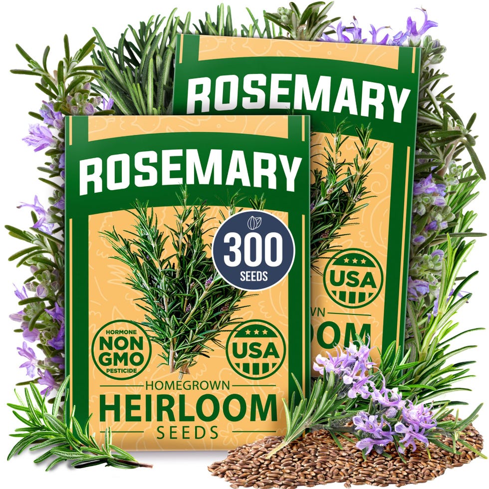Rosemary Seeds Pack