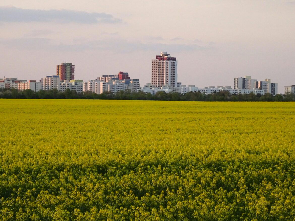 Urban and near-urban farming may be enough to sustain mid-size cities