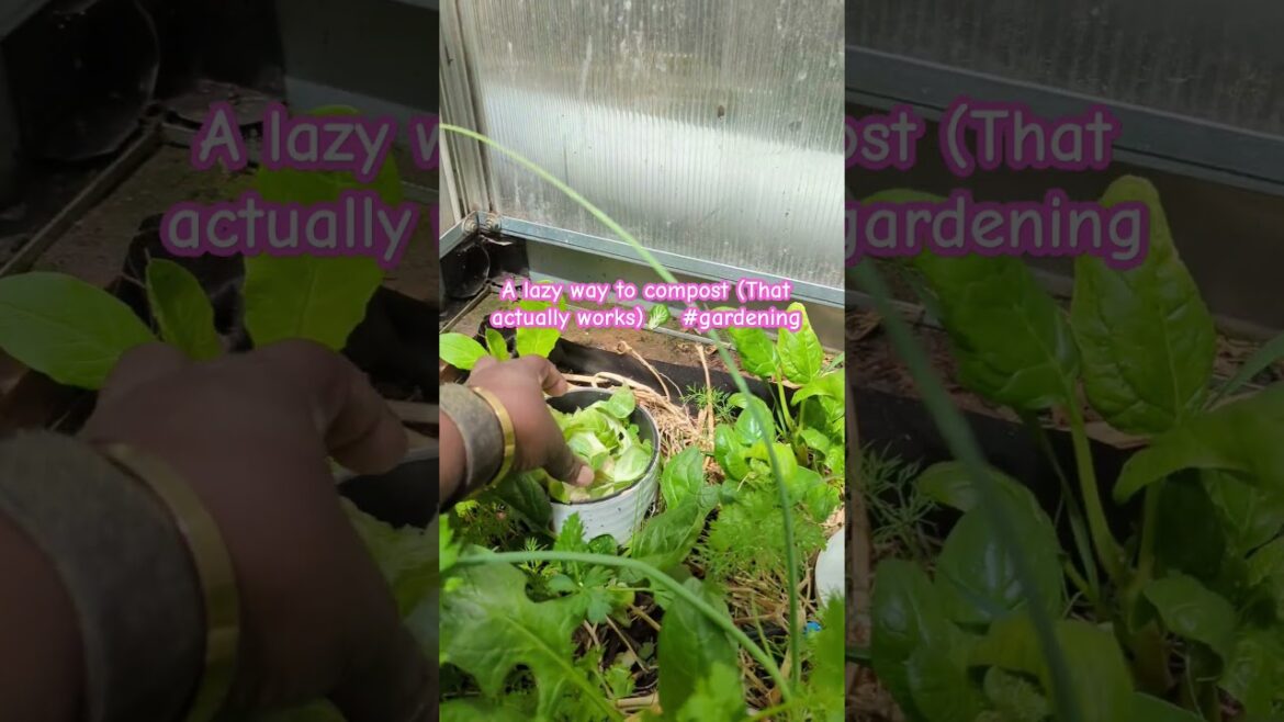 Compost Like a Slacker (But Still Win) 🌱🎥 #GardenLikeASlacker