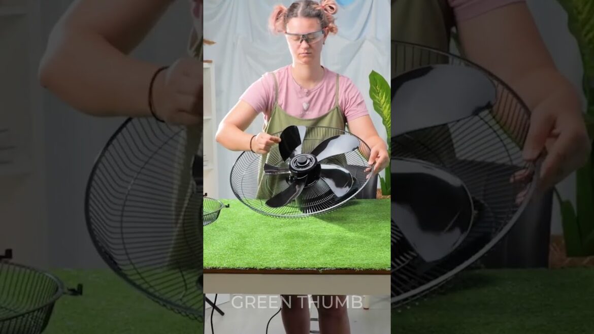 Transform Your Dream Garden with These AMAZING Hacks in 5 Minutes!