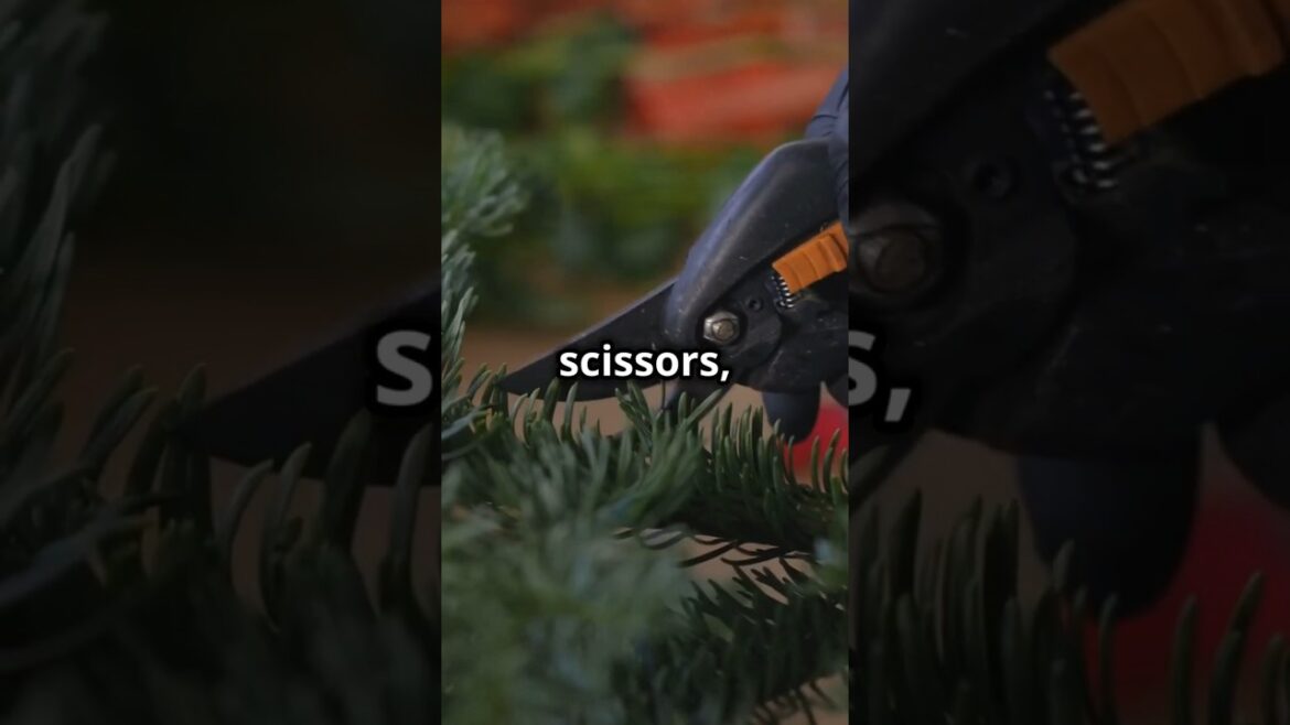 Bypass Pruners Explained – A Gardener’s Best Friend! #tools #pruning #education #garden #gardening Bypass Pruners Explained – A Gardener's Best Friend! #tools #pruning #education #garden #gardening