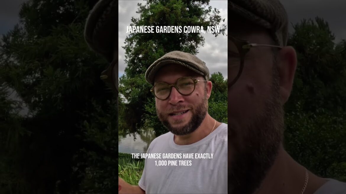 Japanese Gardens NSW