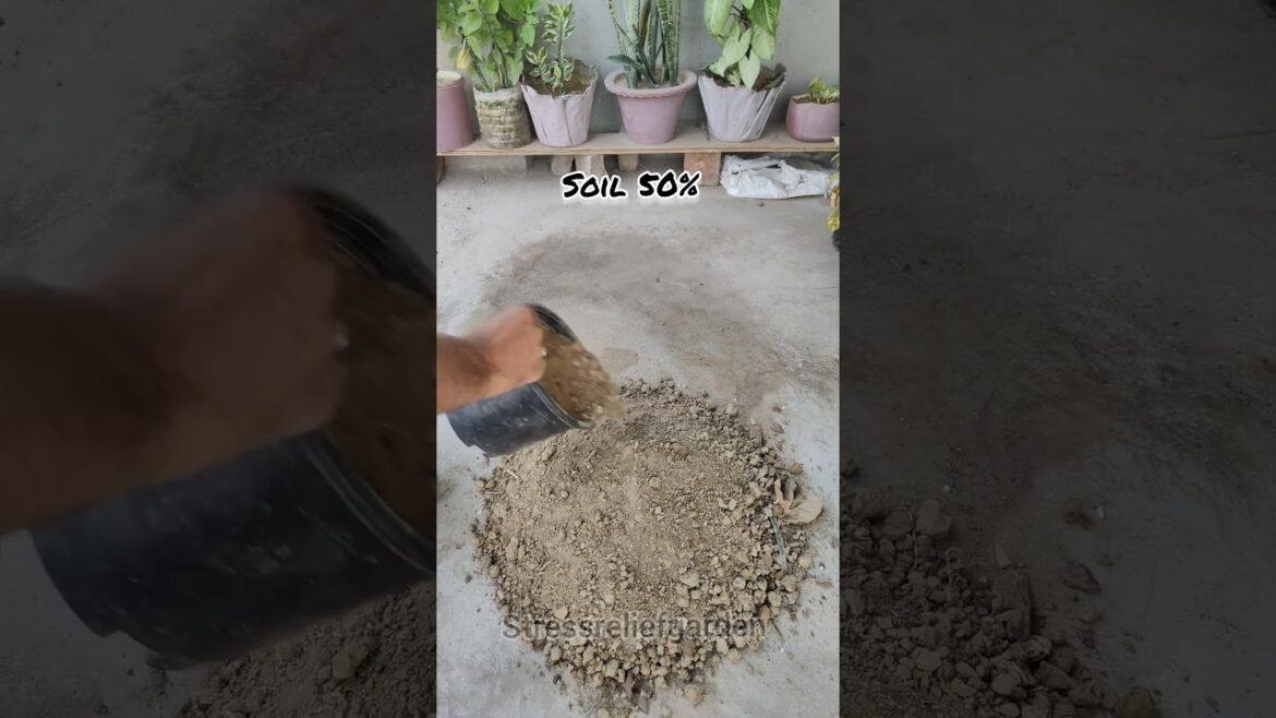 indoor plants ke liye soil kaise banau 🤔🤔#shorts #plants #garden #nature #flower #fruit