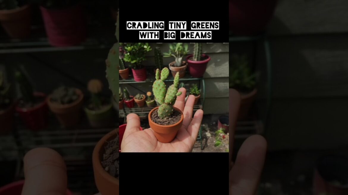 Cradling Tiny Greens With Big Dreams #shorts #shortvideo #diy Cradling Tiny Greens With Big Dreams #shorts #shortvideo #diy