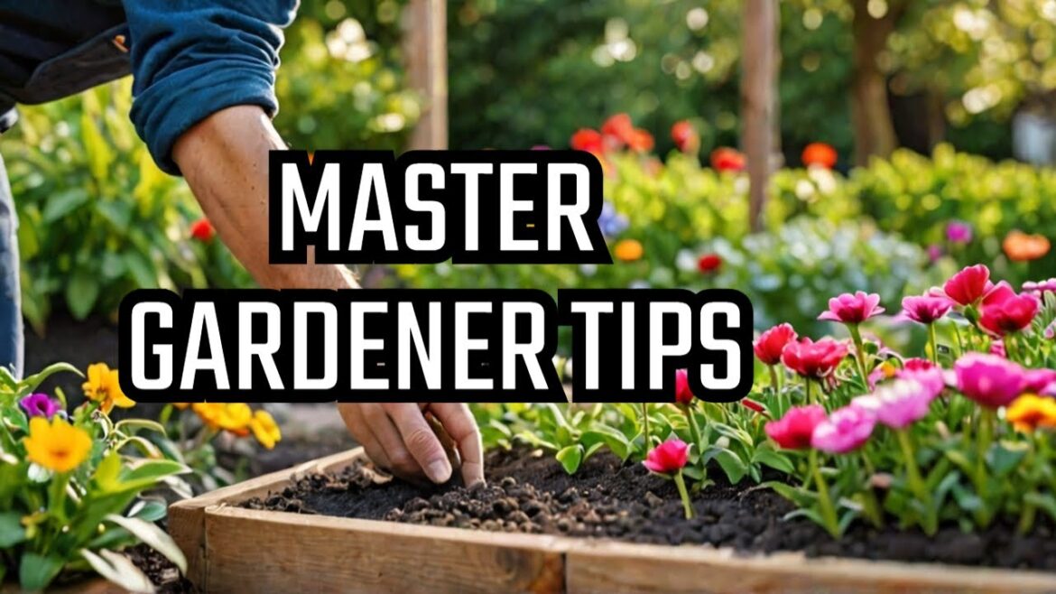 Unlock your gardening potential with these straightforward tips for sowing seeds! Unlock your gardening potential with these straightforward tips for sowing seeds!