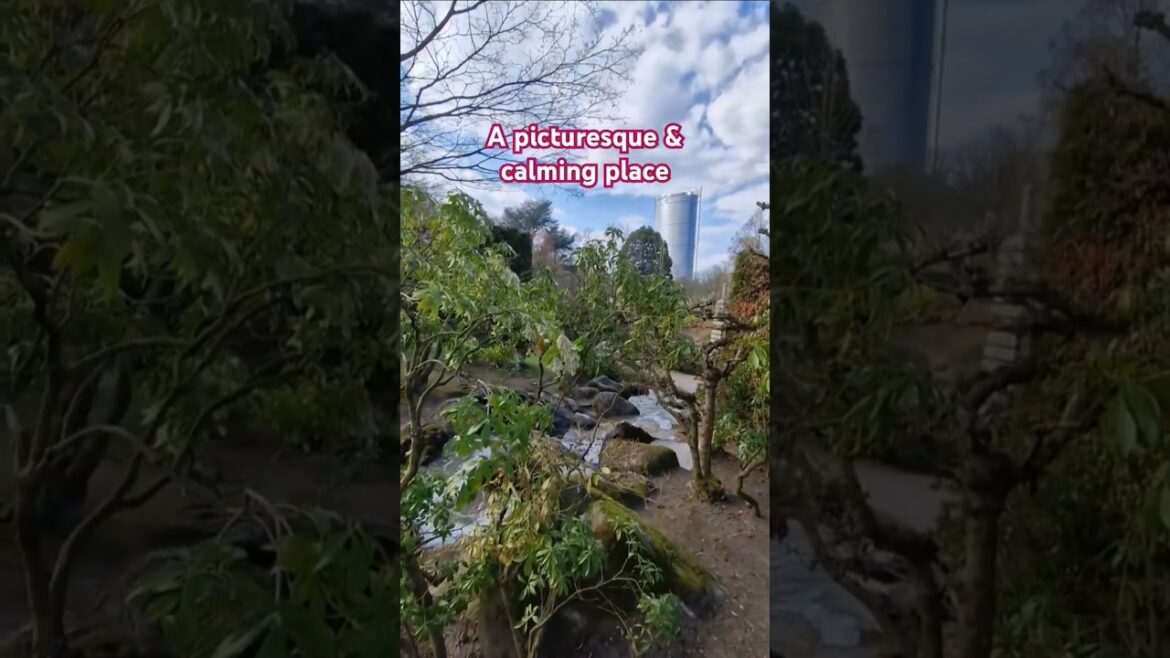 A place where i could sit for hours #japanesegarden #nature #travel #manmade #koiponddesign