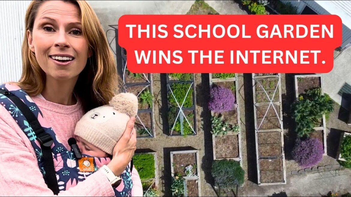 Melbourne’s Most Amazing School Garden?! FULL Urban Farm Tour | Athol Road Primary School