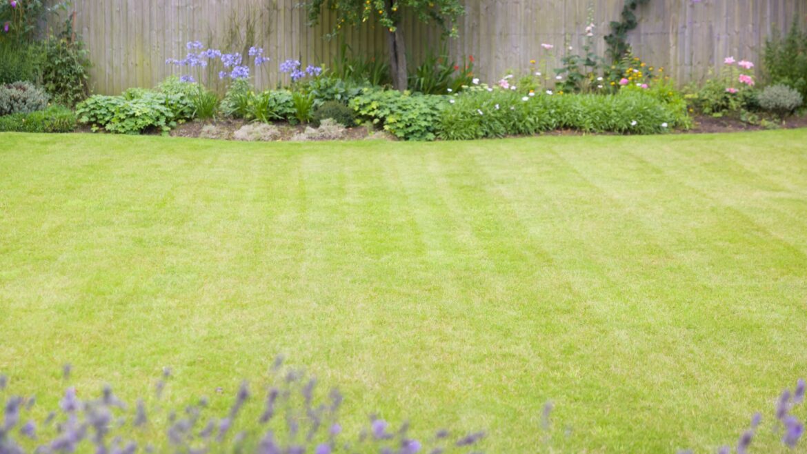 Gardening expert reveals vital step to keeping your lawn green and healthy during the summer heat