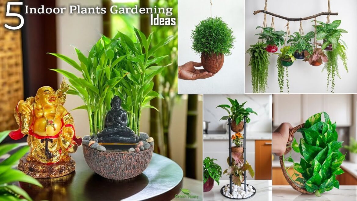 5 Indoor Garden Ideas for Bringing Greenery into Your Home | Indoor Plants Gardening//GREEN PLANTS