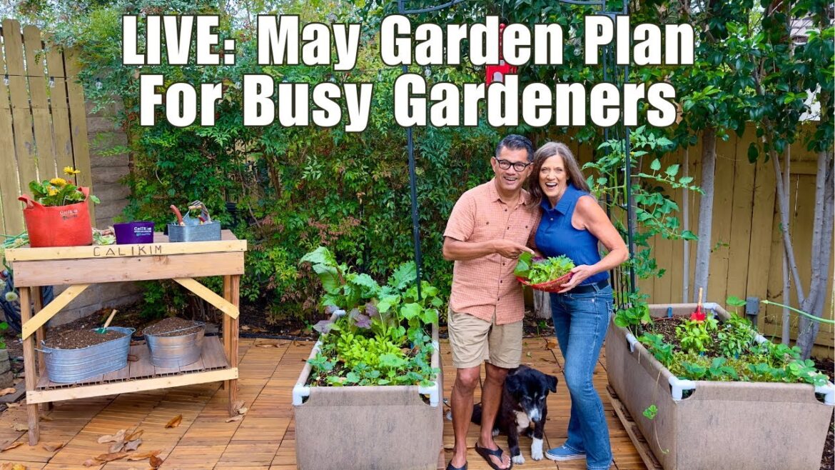 The May Garden Game Plan for Busy Gardeners