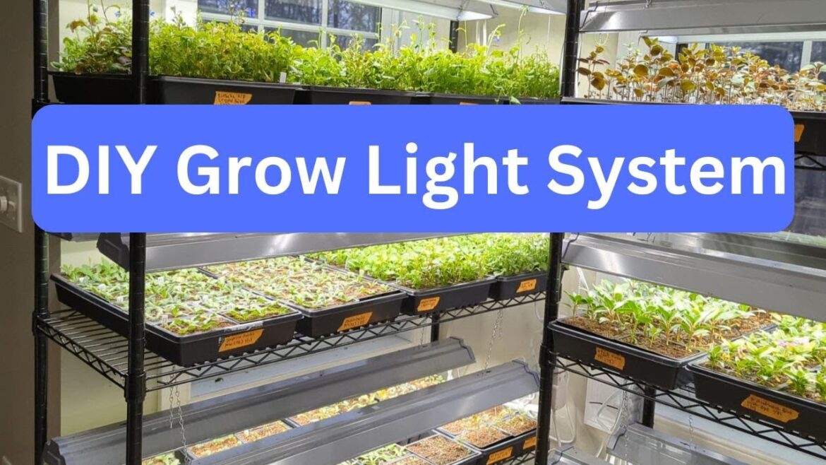 Best Grow Lights | Grow Room Tour For Indoor Plants | Affordable & Easy || Budget Gardening